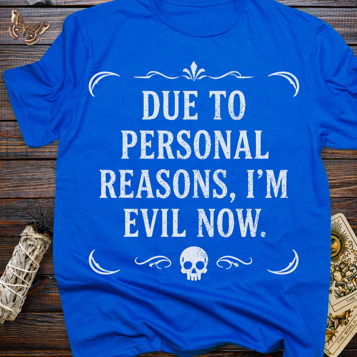 Due to Personal Reasons, I'm Evil Now