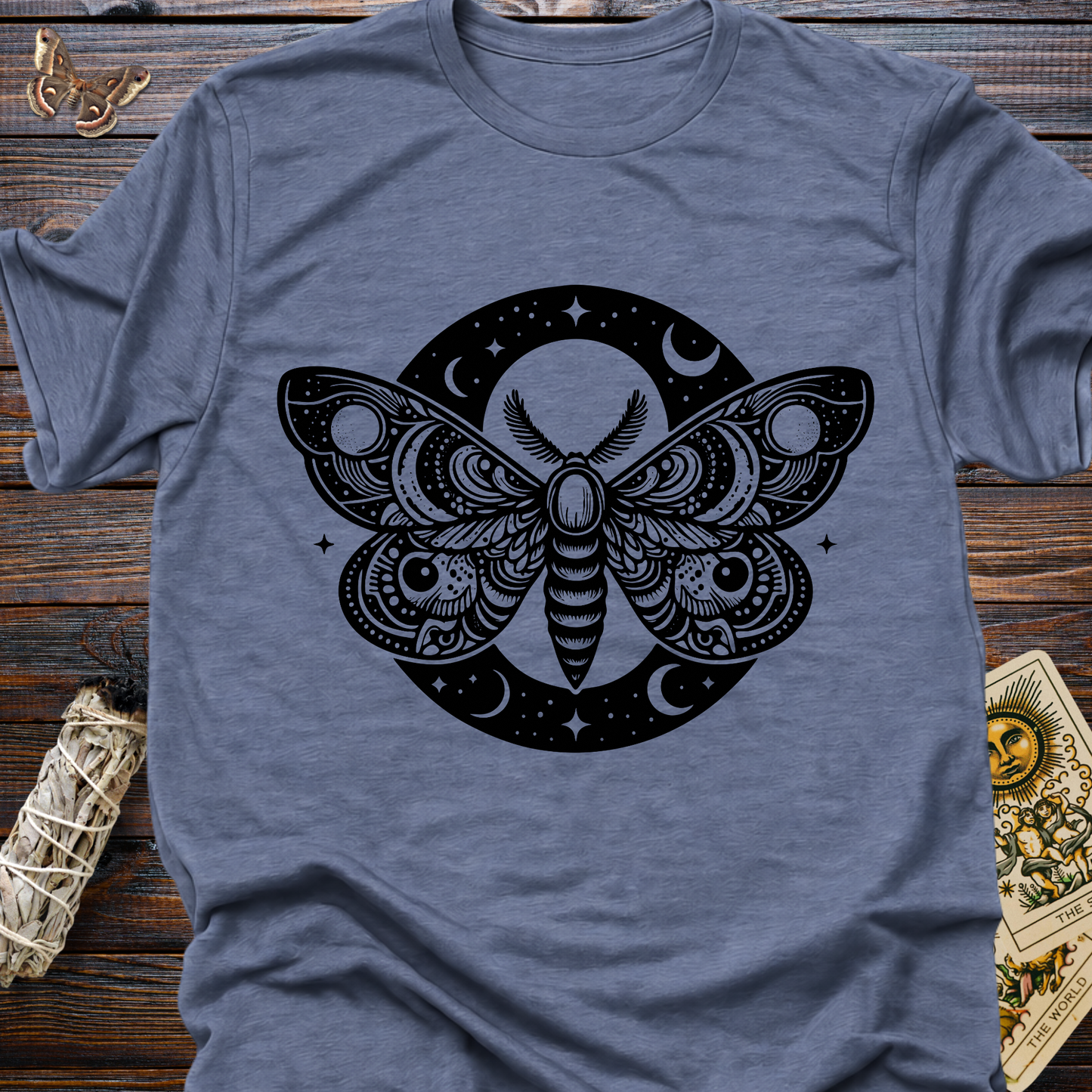 Nightfall Moth