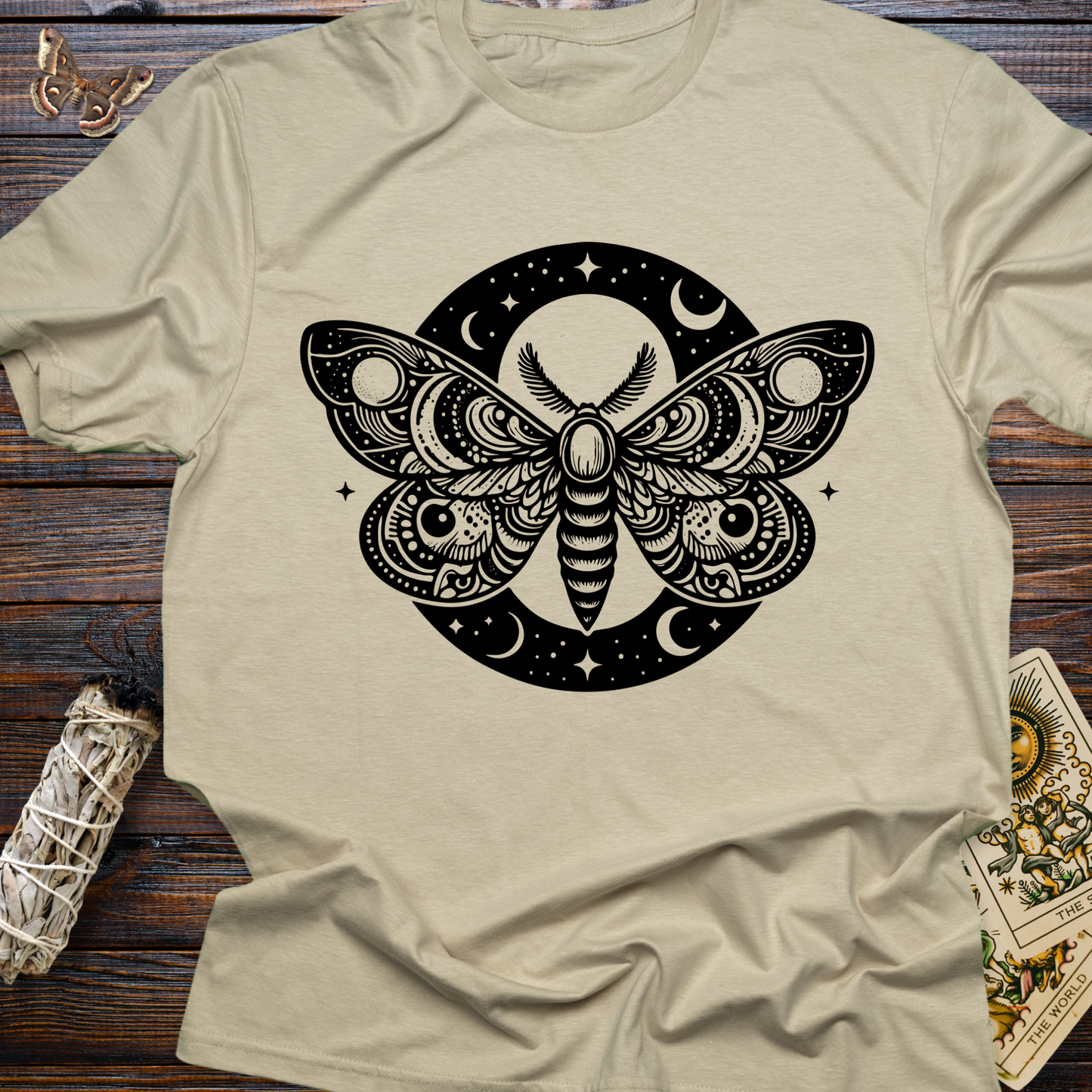 Nightfall Moth