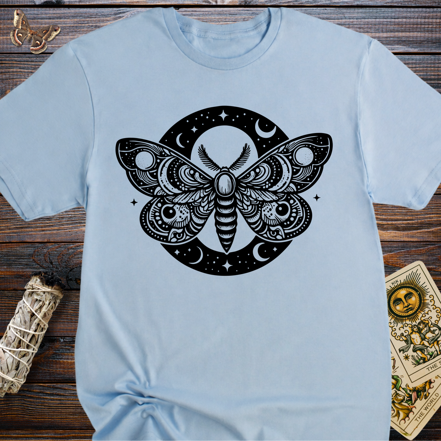 Nightfall Moth