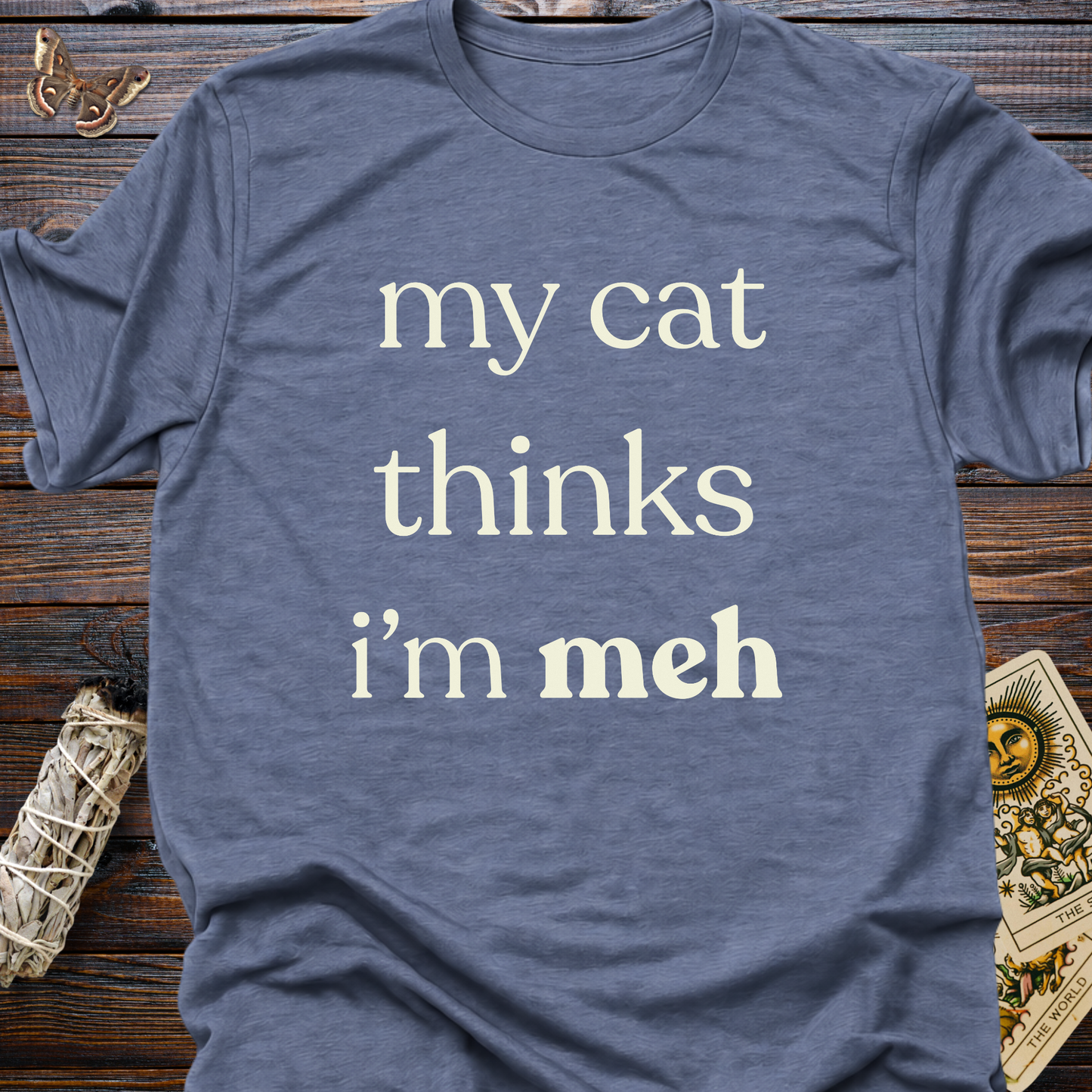 My Cat Thinks I'm Meh
