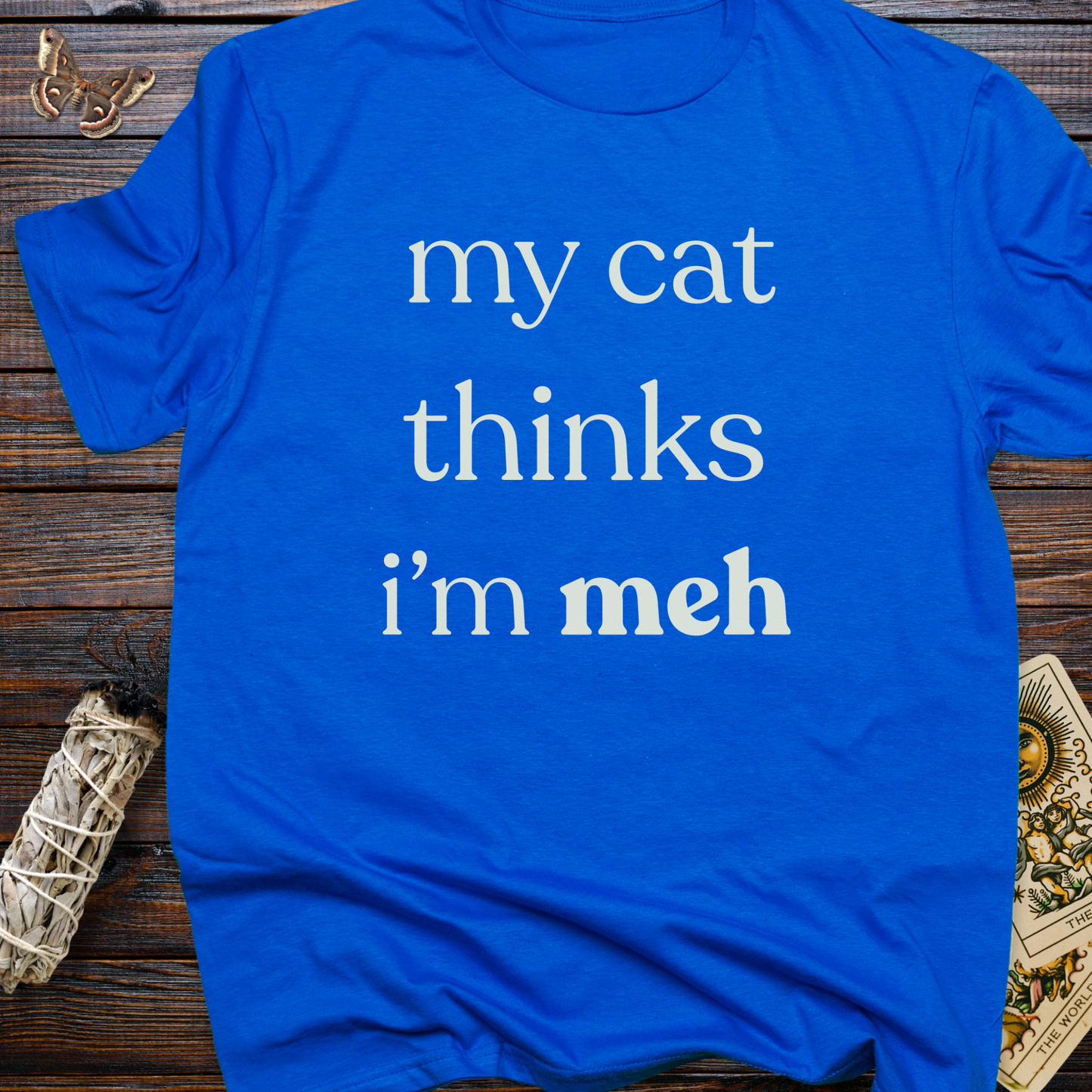 My Cat Thinks I'm Meh