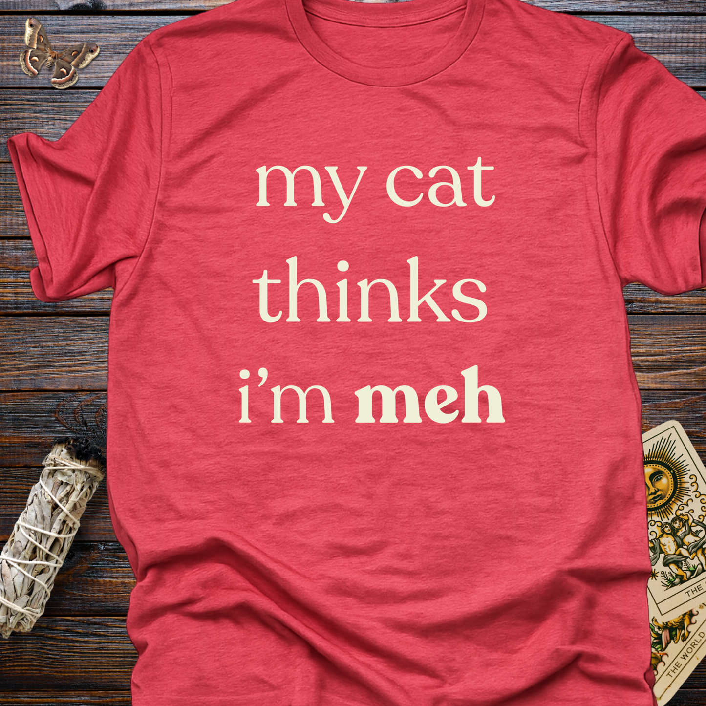My Cat Thinks I'm Meh
