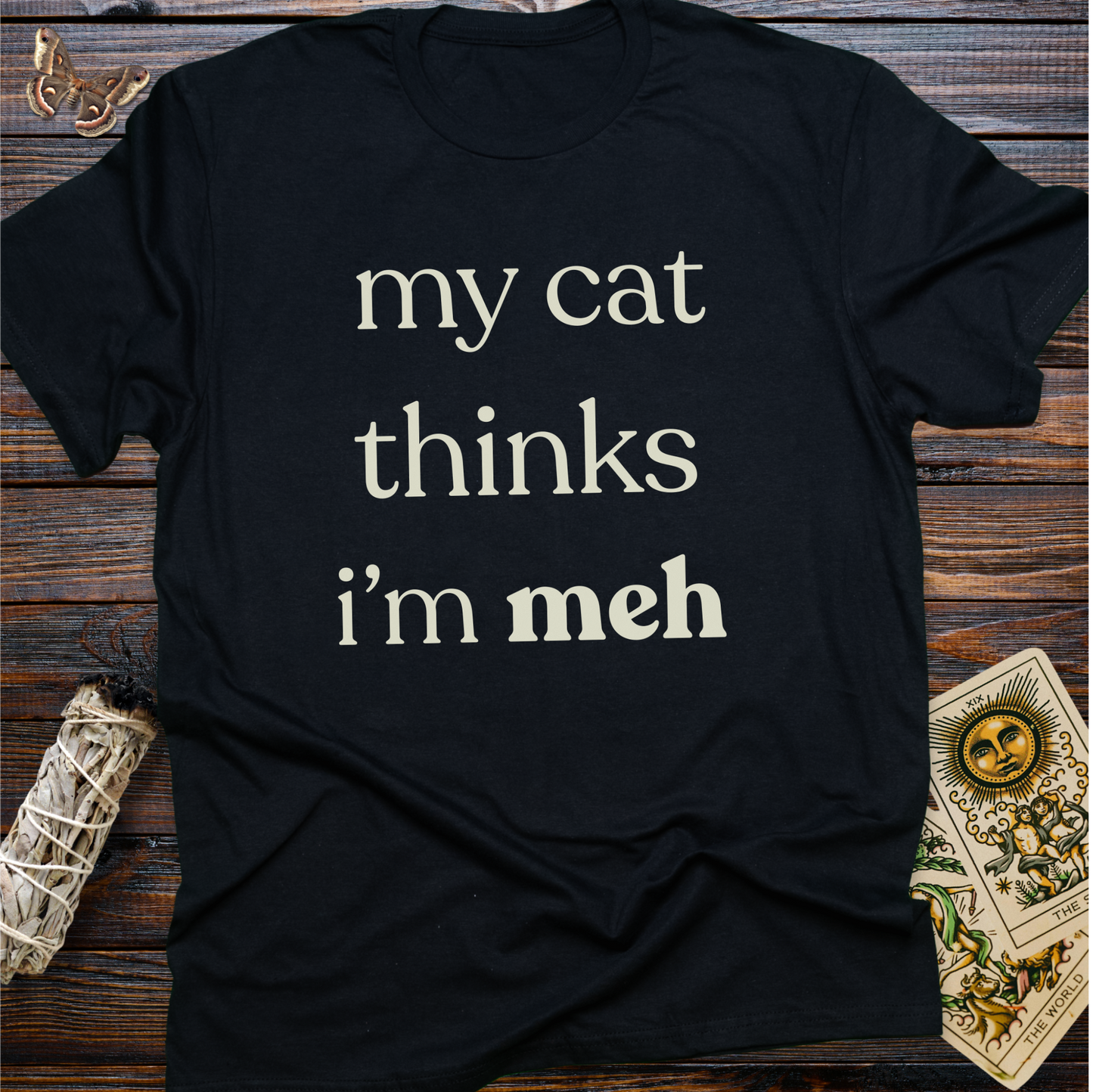 My Cat Thinks I'm Meh