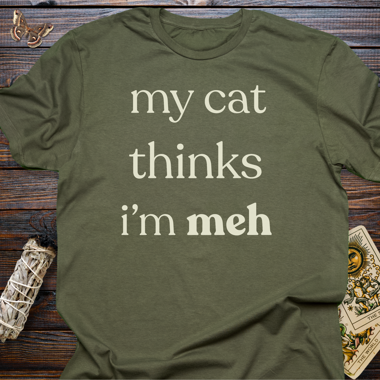 My Cat Thinks I'm Meh