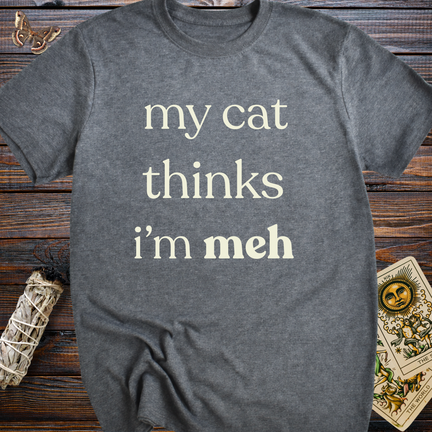 My Cat Thinks I'm Meh