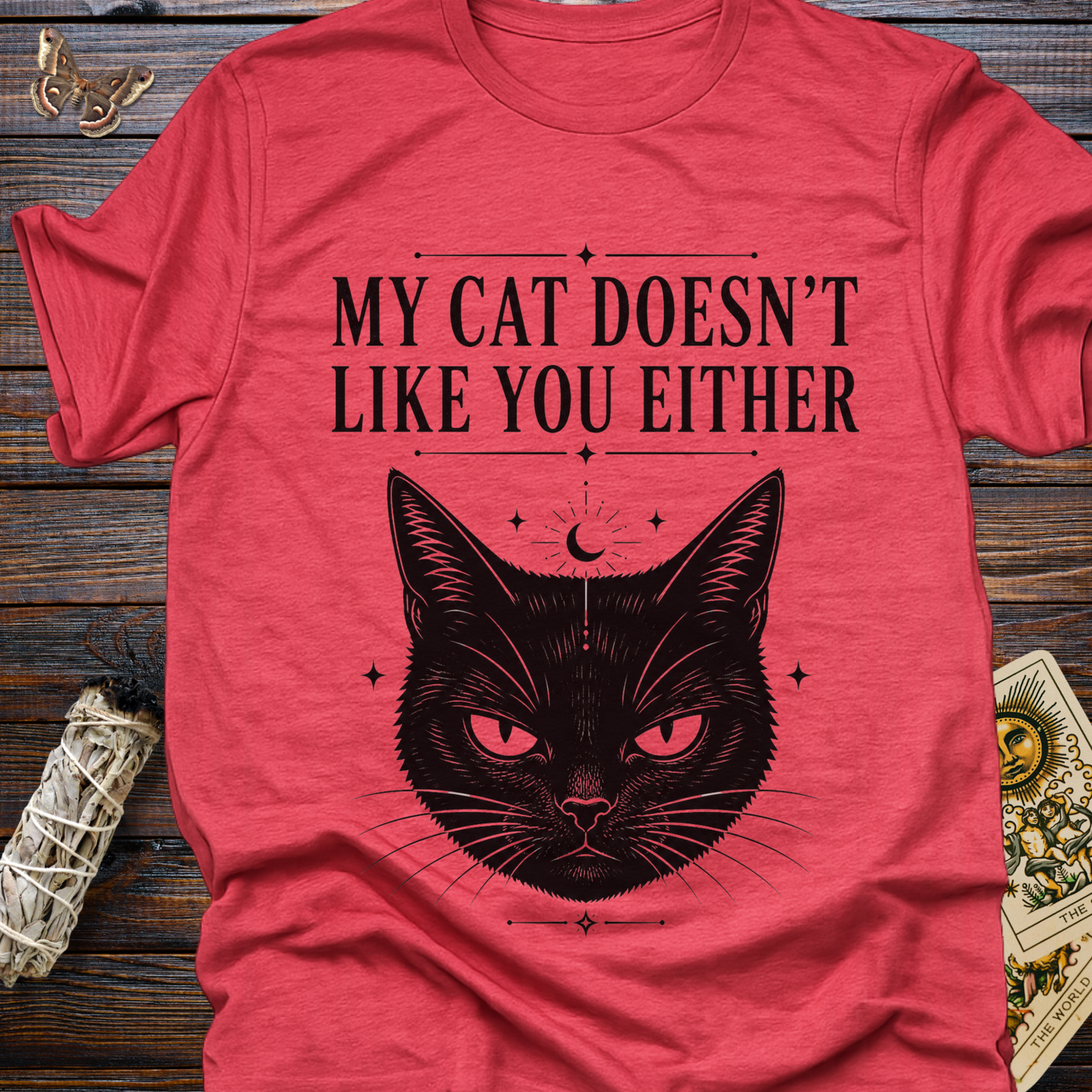 My Cat Doesn't Like You Either