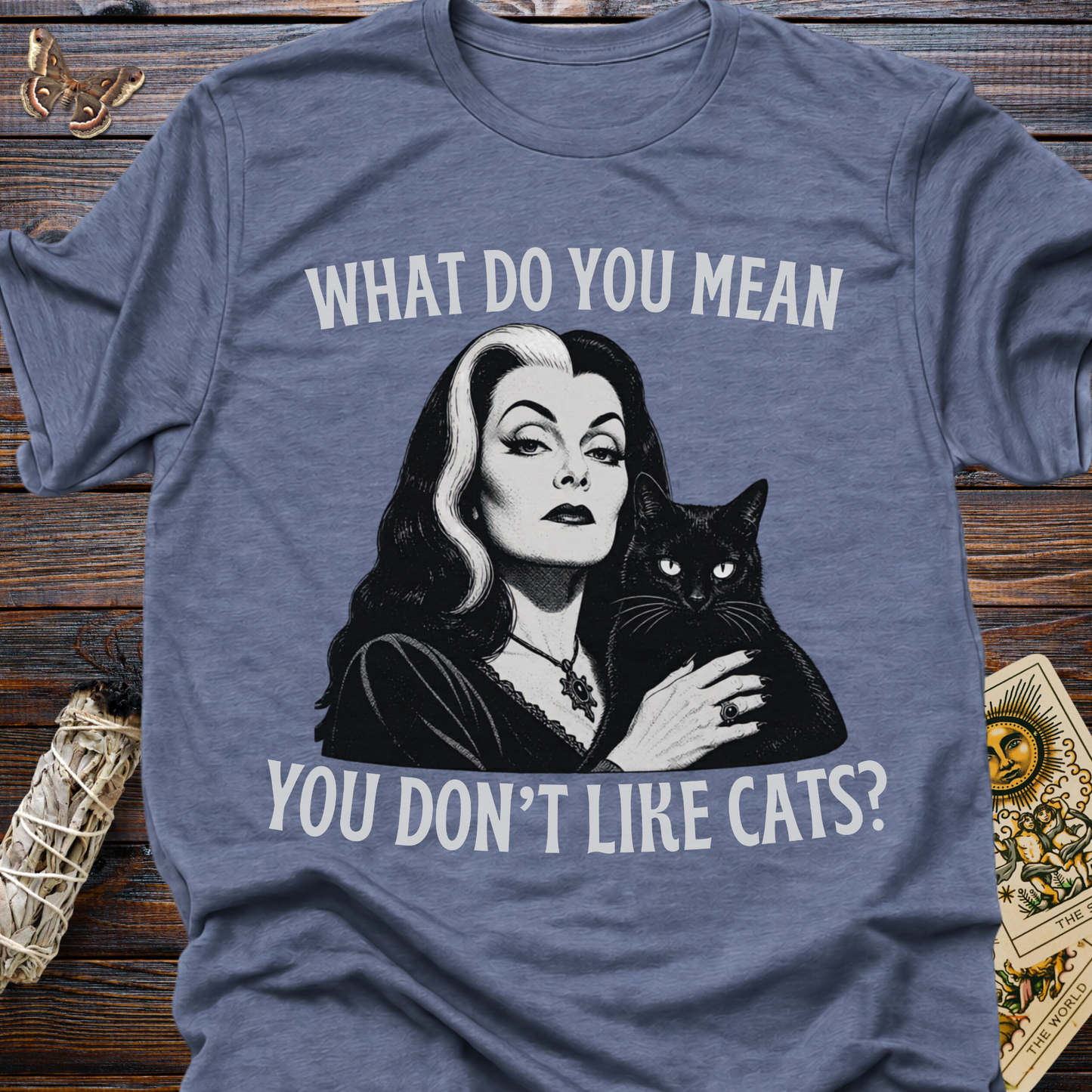 What Do You Mean You Don't Like Cats