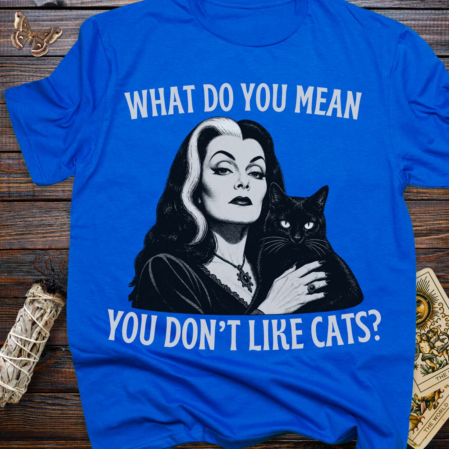 What Do You Mean You Don't Like Cats