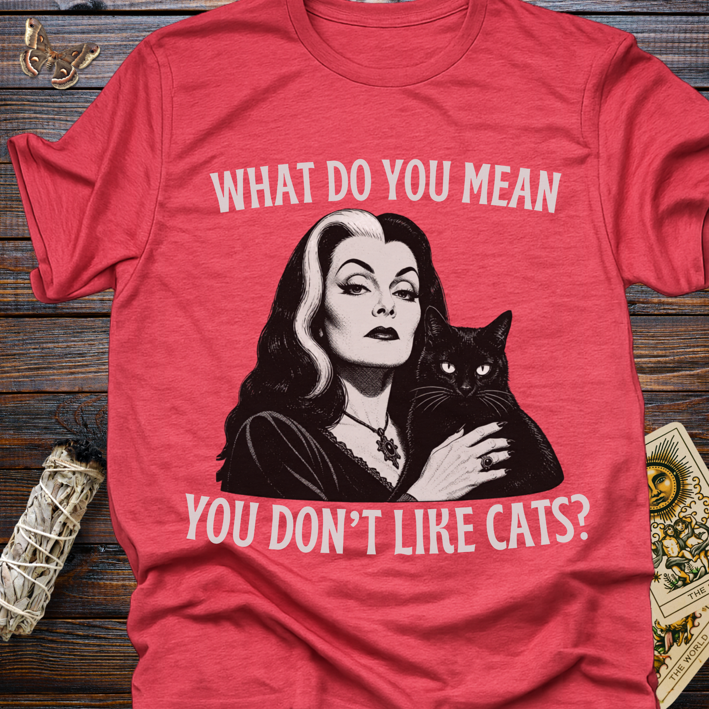 What Do You Mean You Don't Like Cats
