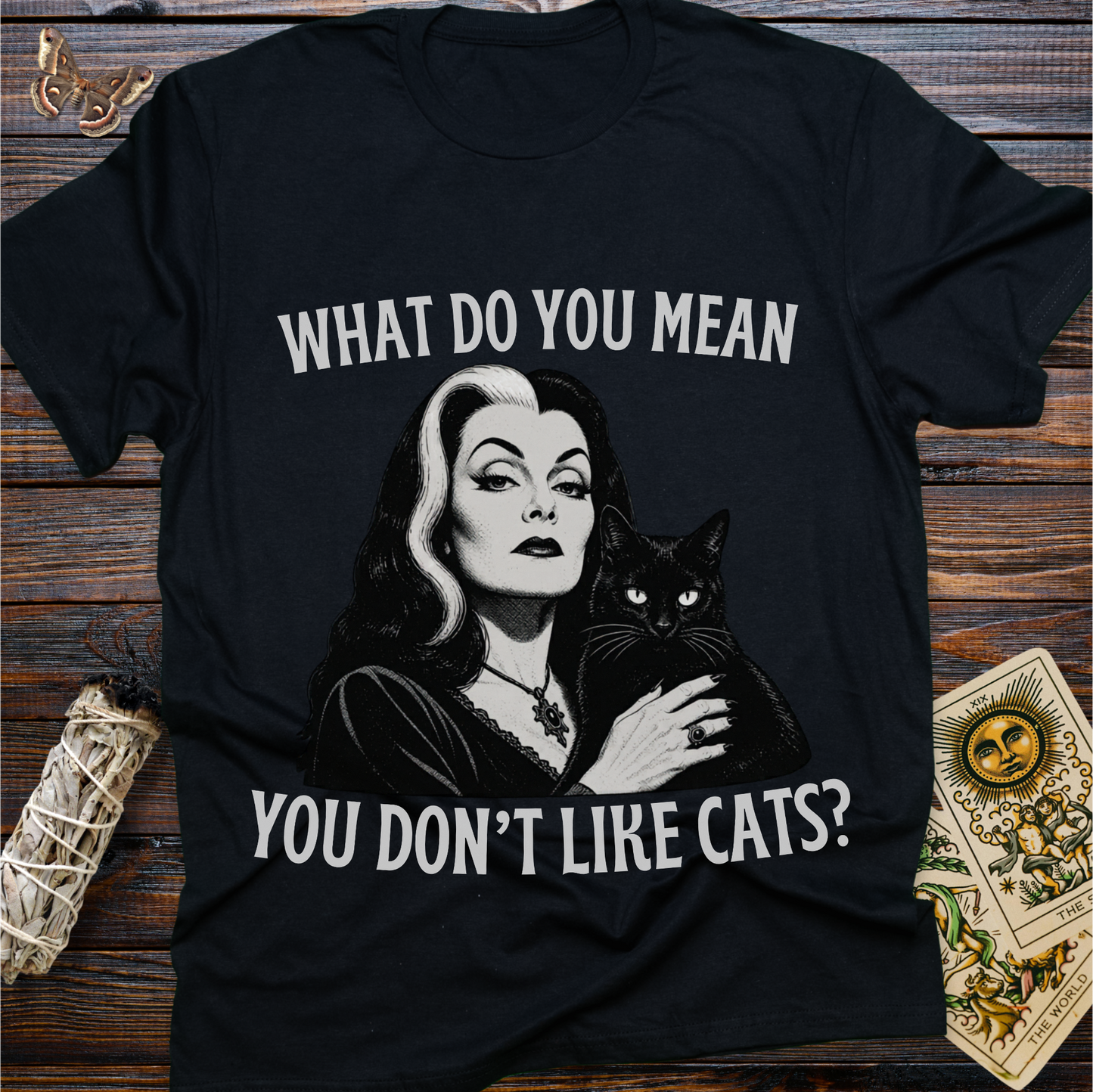 What Do You Mean You Don't Like Cats
