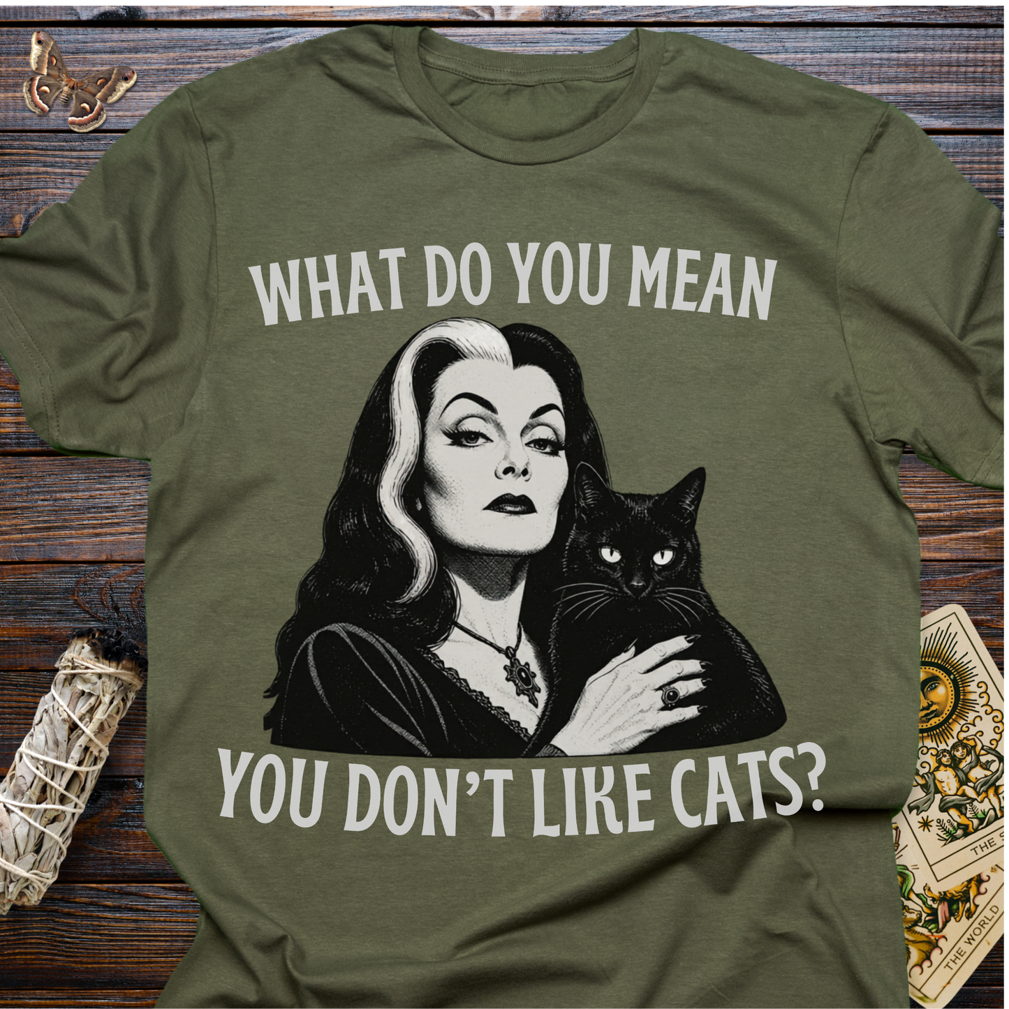 What Do You Mean You Don't Like Cats
