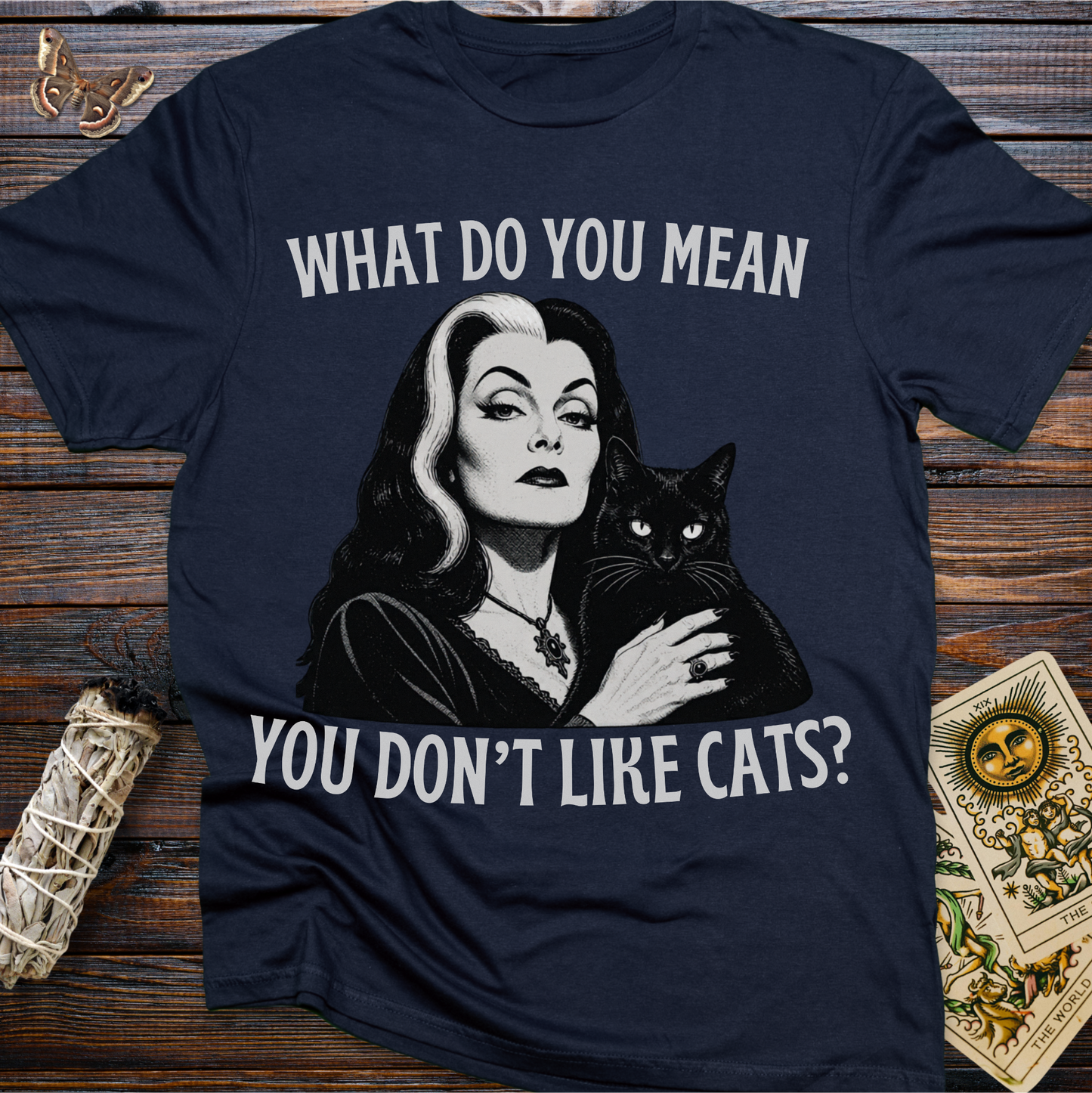 What Do You Mean You Don't Like Cats