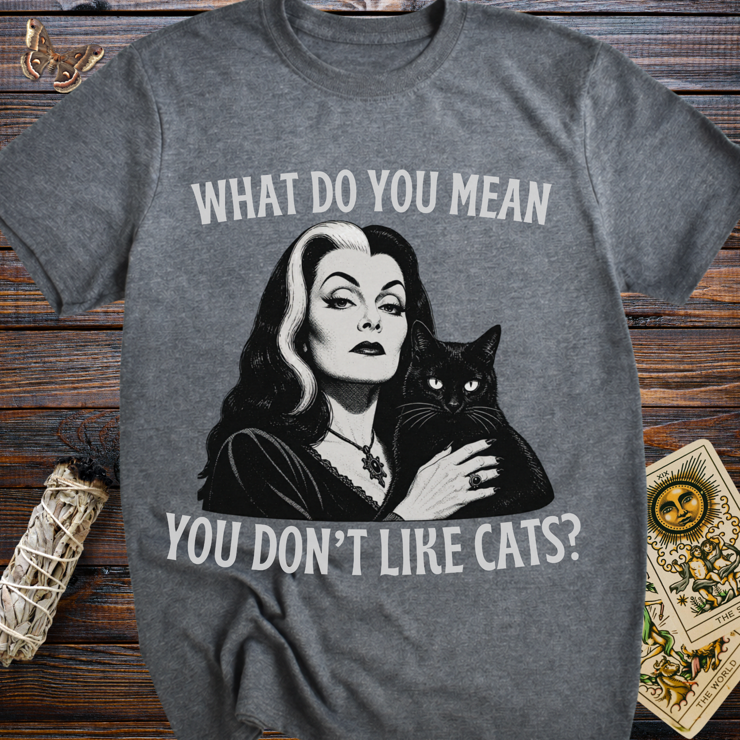 What Do You Mean You Don't Like Cats