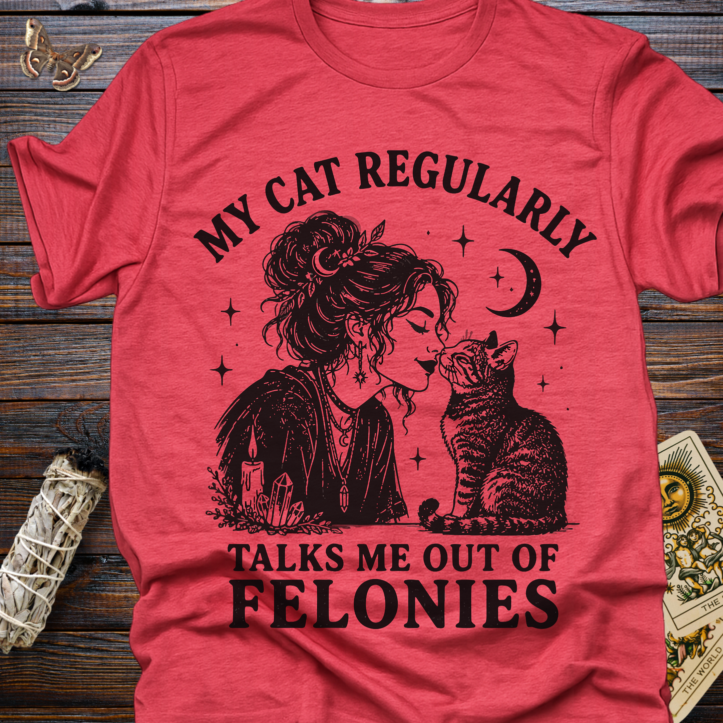 My Cat Regularly Talks Me Out of Felonies