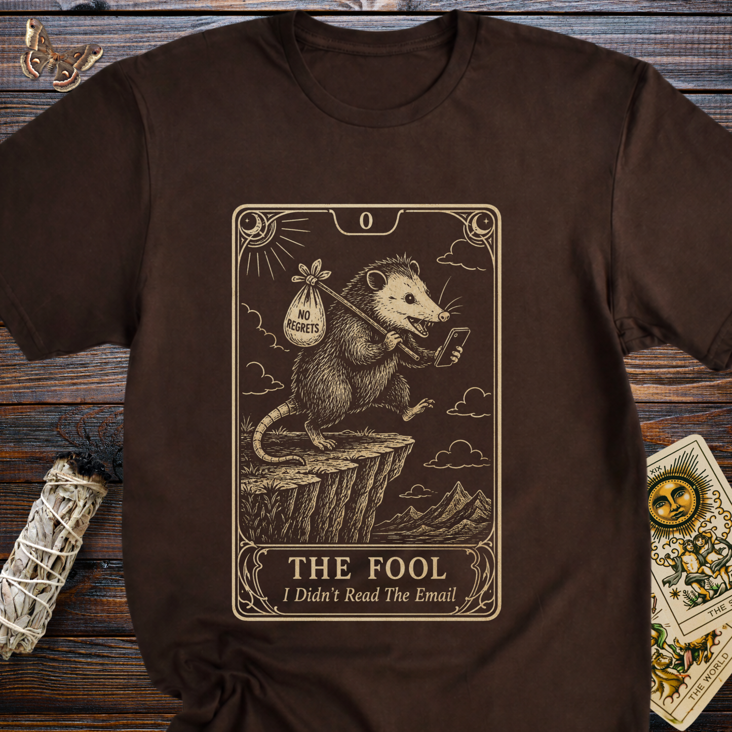The Fool Tarot Card I Didn't Read the Email