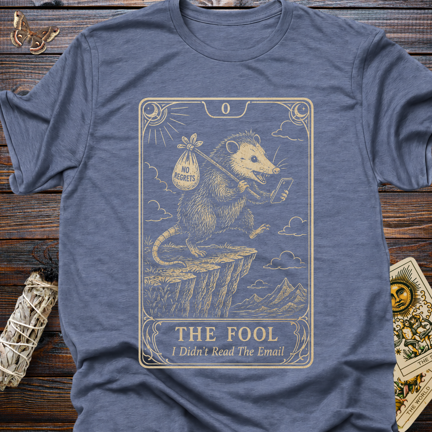 The Fool Tarot Card I Didn't Read the Email