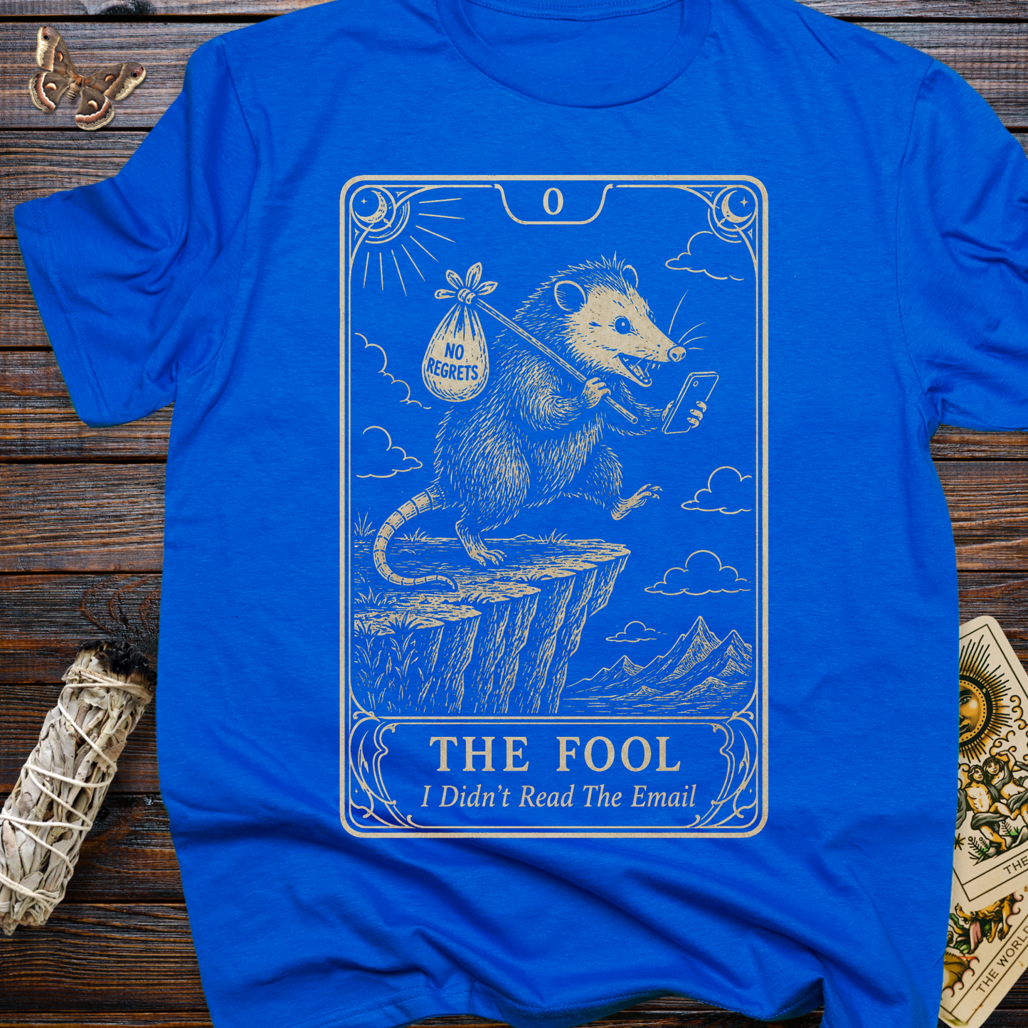 The Fool Tarot Card I Didn't Read the Email