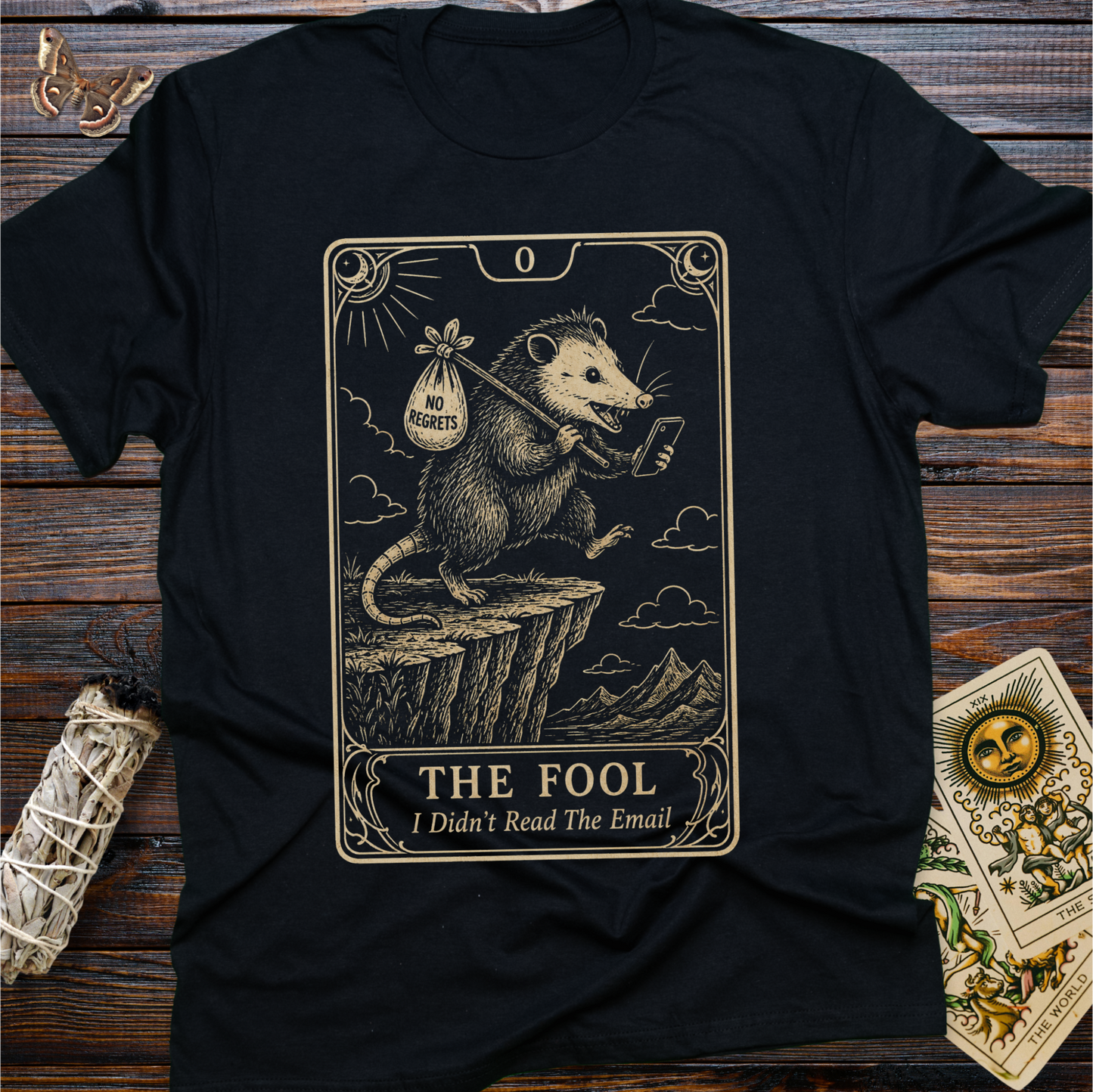The Fool Tarot Card I Didn't Read the Email