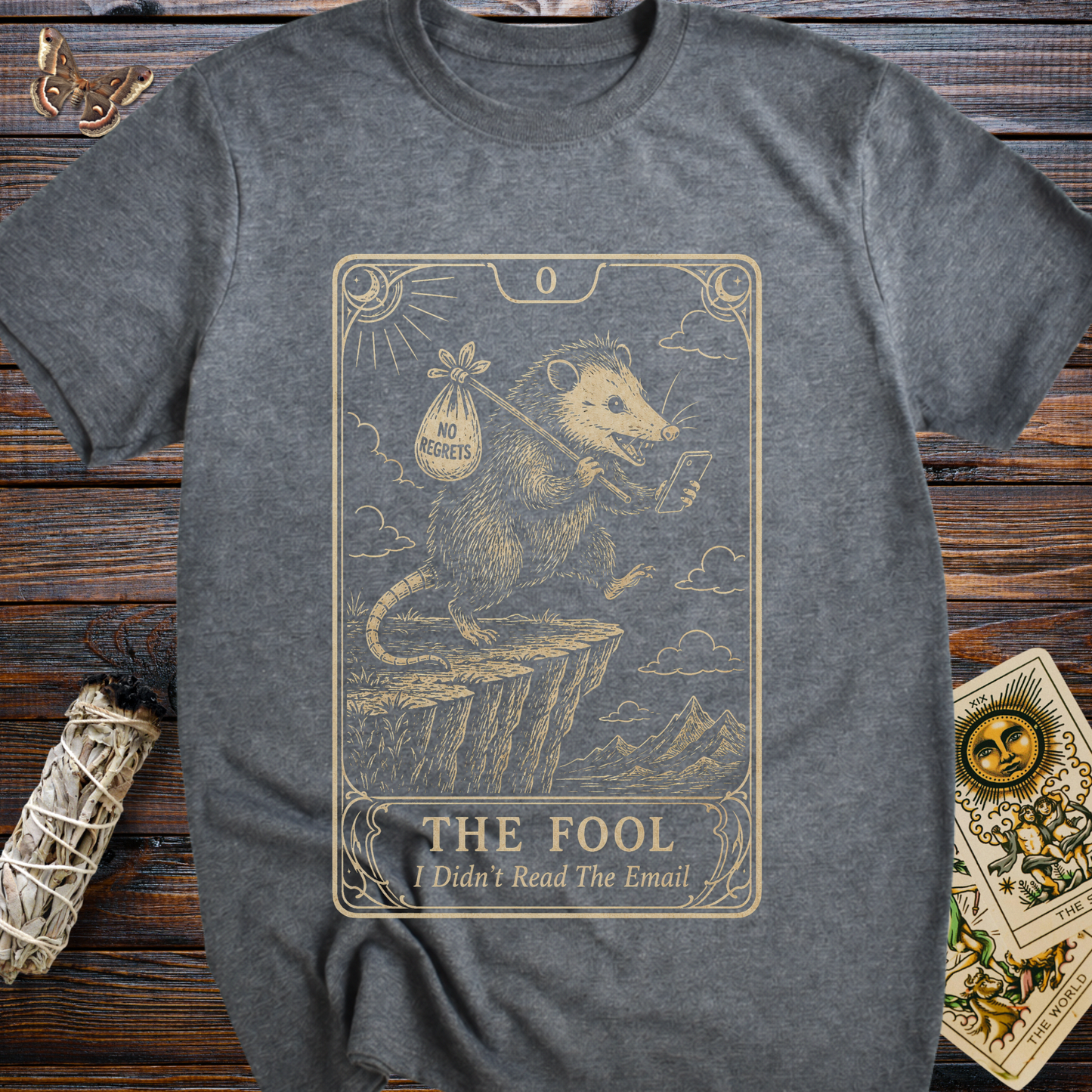 The Fool Tarot Card I Didn't Read the Email