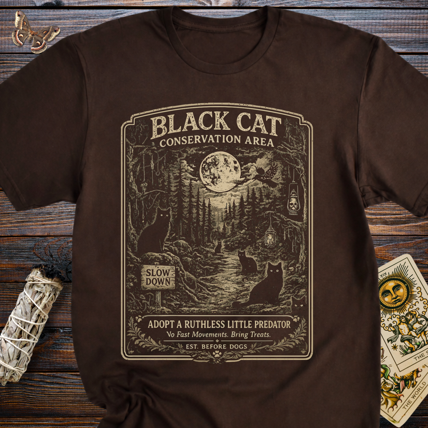 Black Cat Conservation Area Shirt | Vintage Witchy Cat Lover Graphic Tee