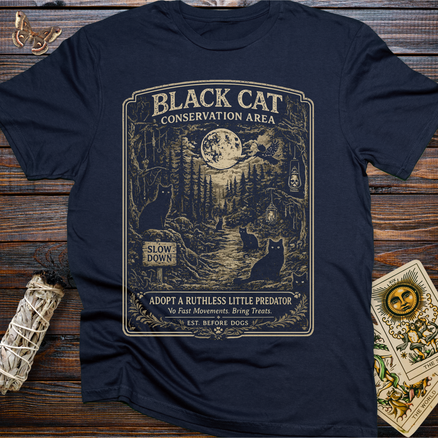Black Cat Conservation Area Shirt | Vintage Witchy Cat Lover Graphic Tee